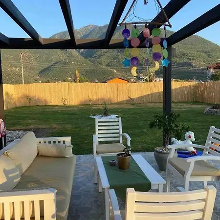Aslan Denize Yakin Merkeze Yakin فيلة فتحية
